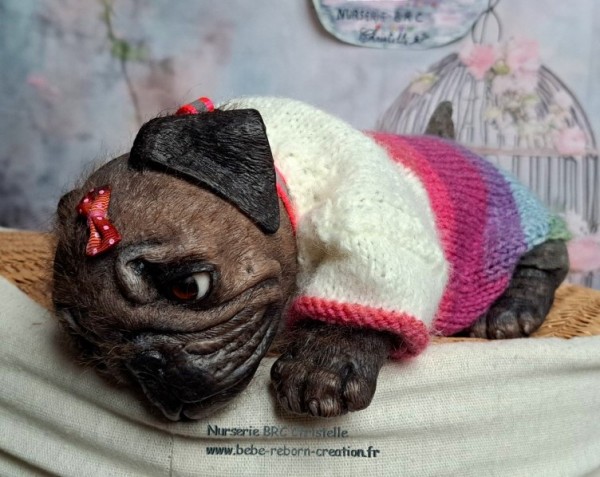 B Monty simon Laurens (8)